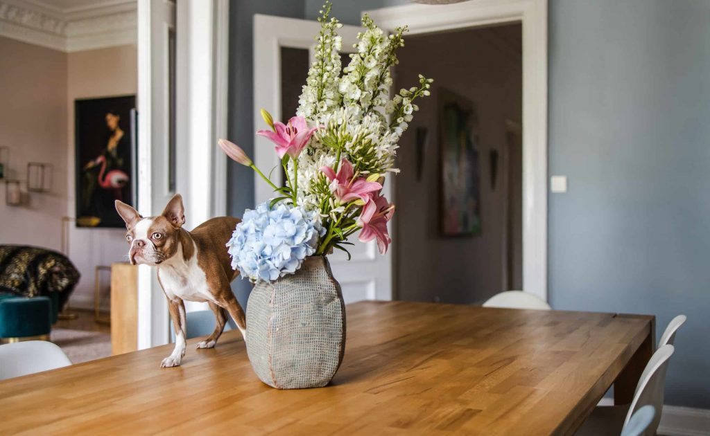 solid wood dining table in the san francisco bay area